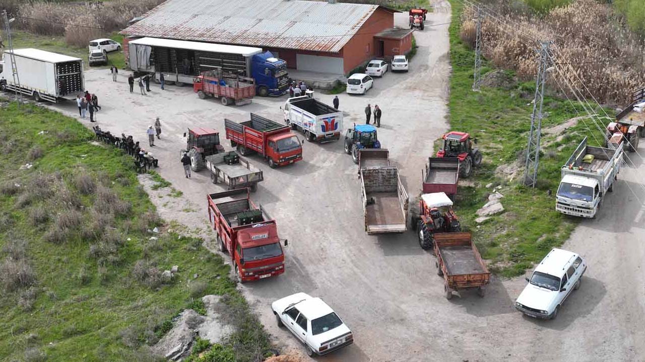 Ankara’da  25 ilçede dağıtılacak: Belediye vatandaşlara duyurdu,15 Mayıs’tan itibaren…