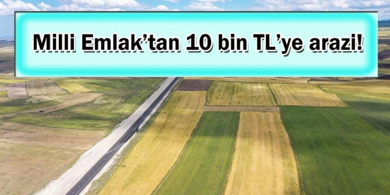 Asgari ücretle bu arsayı satın alabilirsiniz! 464 metrekarelik arsa 10 bin TL'ye satılıyor: Son gün için tarih verildi..