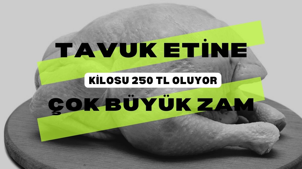 Tavuk eti de kırmızı etle aynı fiyata gelecek! Tavuğun kilosu 250 TL oluyor
