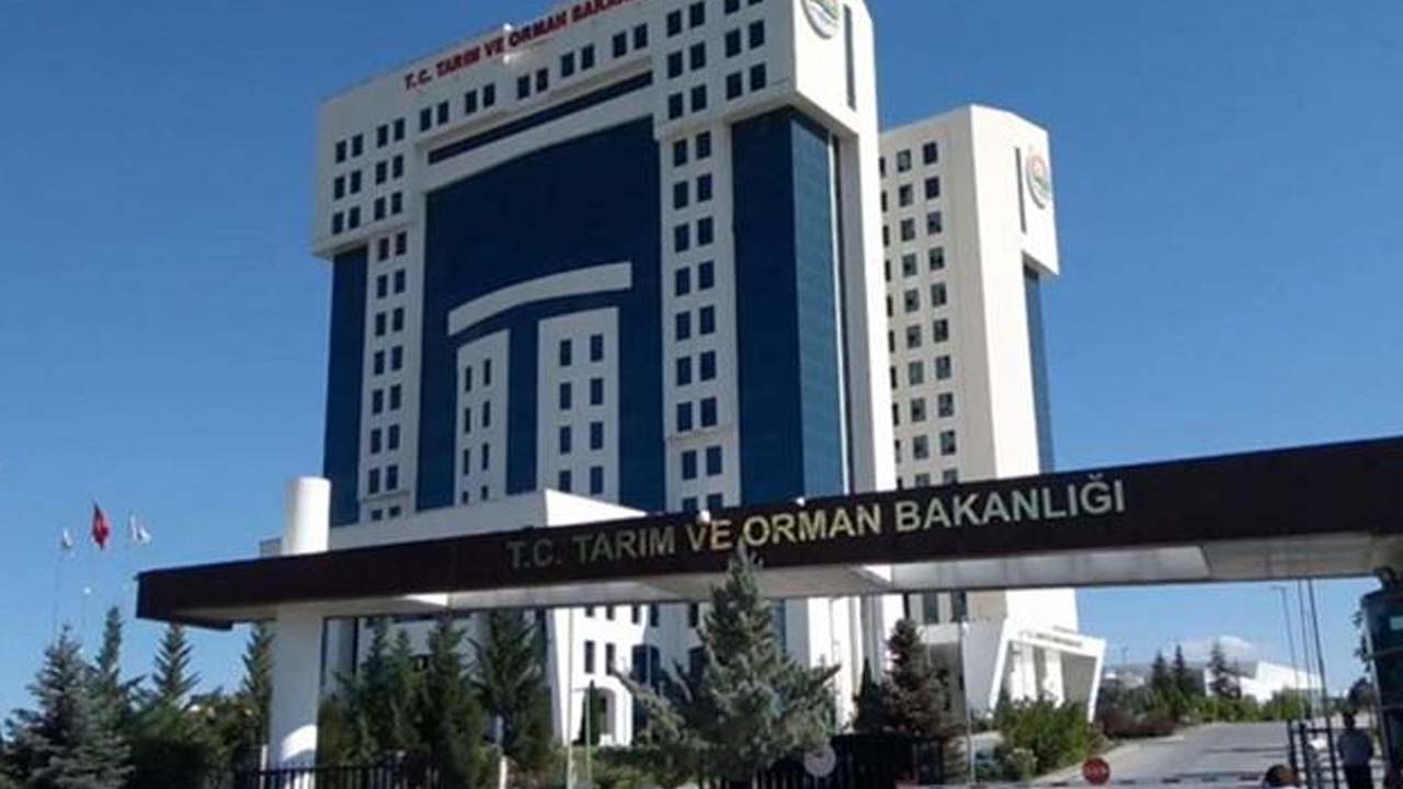 Son 1 Gün kaldı: Kaçırmadan başvurun, Tarım Ve Orman Bakanlığı personel alımı yapacak!