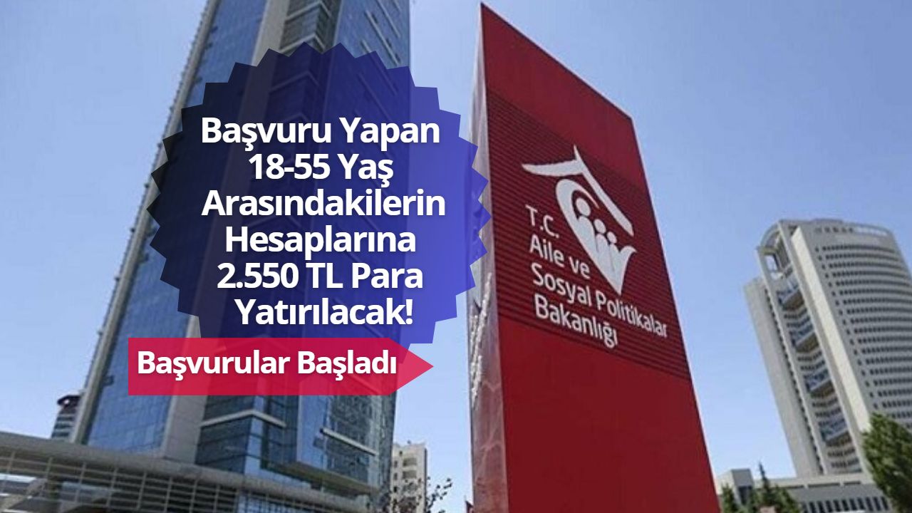 Başvuru yapan 18-55 yaş arasındakilerin hesaplarına 2.550 TL yatırılacak!