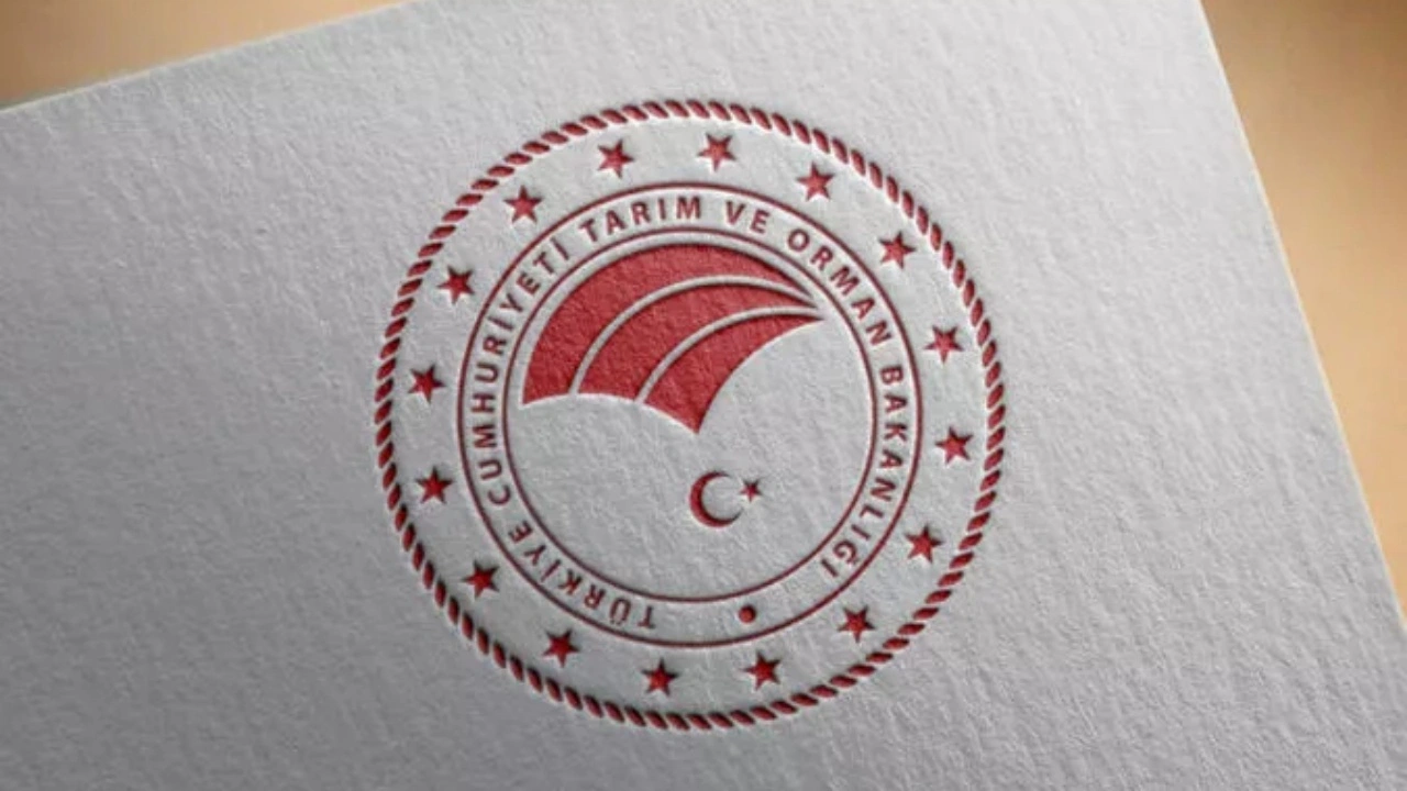 Tarım ve Orman Bakanlığı çiftçilere destek veriyor! İşte detaylar