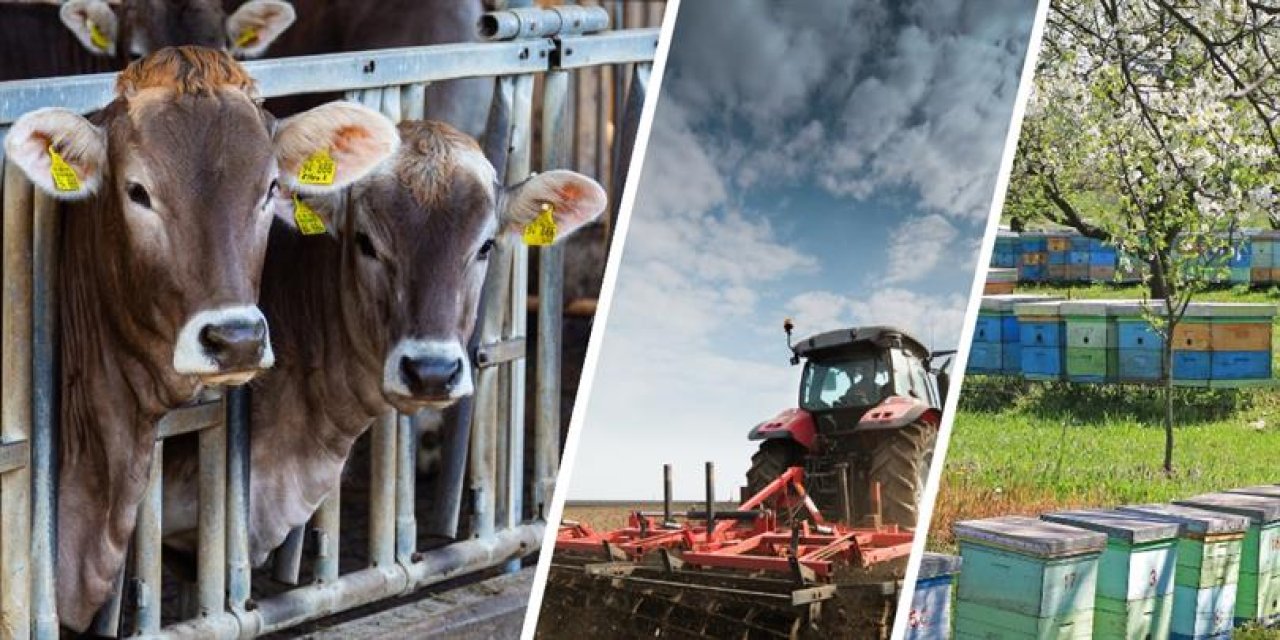Çiftçi Günü’ne 1 Gün Kala, Ziraat Bankası’ndan “Çiftçi Destek Kredisi” Müjdesi! Ziraat’ten Çiftçiye 250 Bin TL’lik Destek!