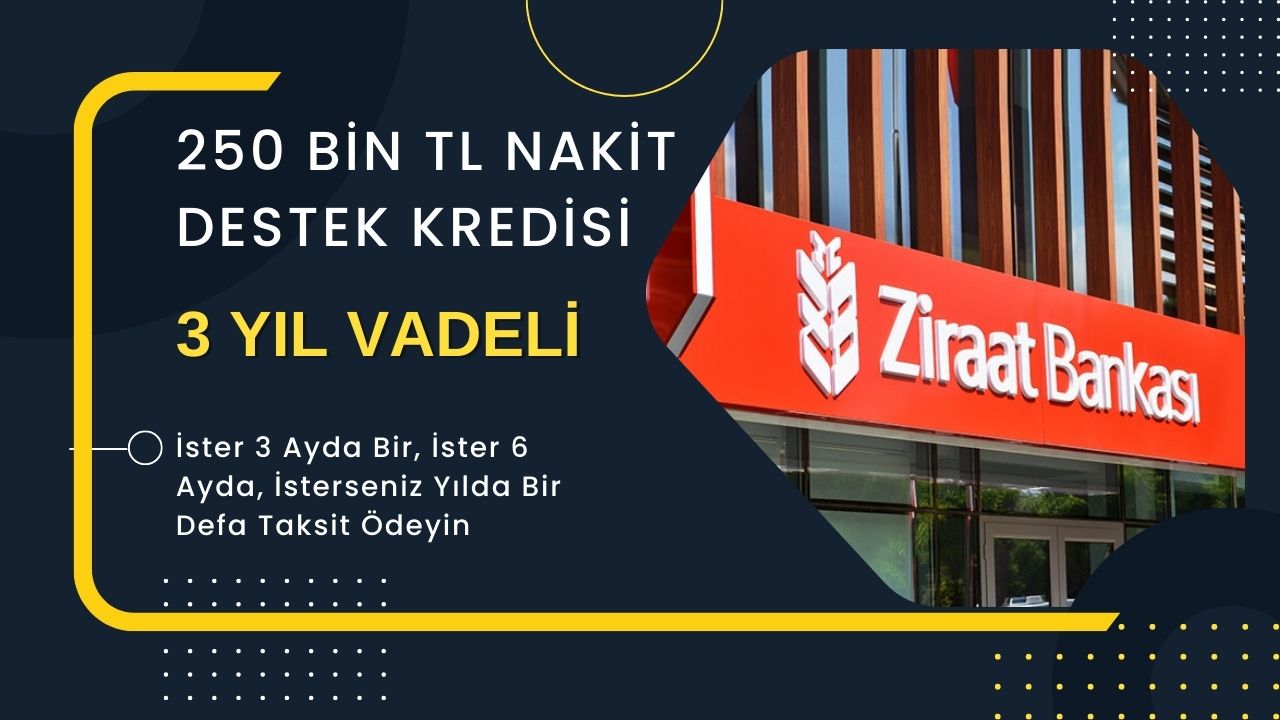 Ziraat Bankası’nın 3 yıl vadeli ama 12 ayda bir ödemeli 250 bin TL’lik destek kredisi başvuruları devam ediyor!