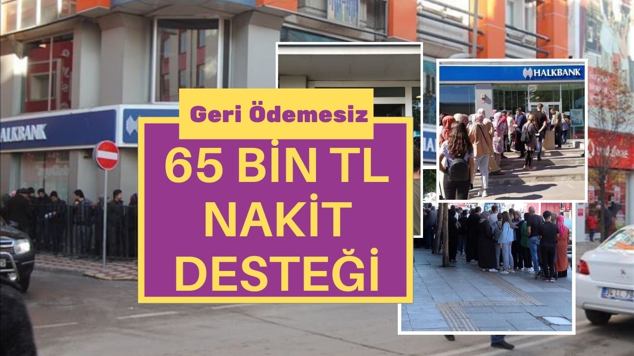 Geri ödemesiz 65 bin TL kredi desteği için başvurular başladı!