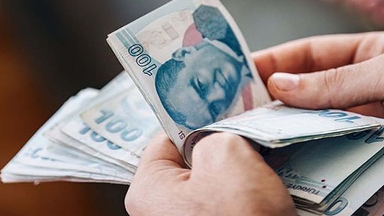 Mesaj atarak veya e-Devlet’e girerek öğrenebilirsiniz: Bakan açıkladı, hesabınıza para yatmış olabilir!