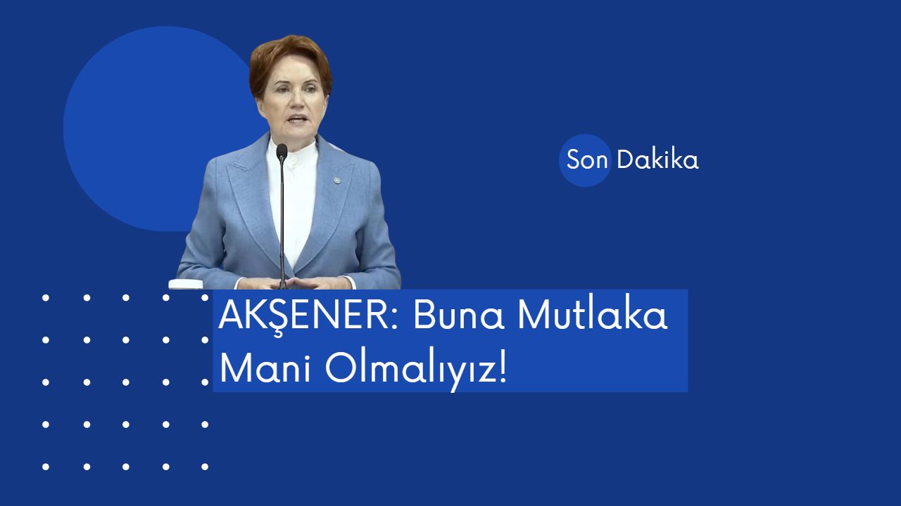 Meral Akşener: Buna mutlaka mani olmalıyız!
