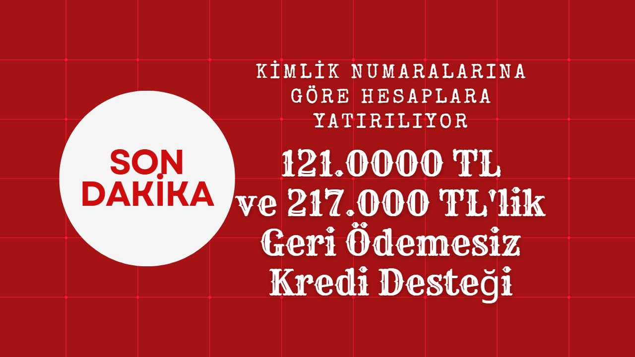 Geri ödemesiz 121 bin TL ve 271 Bin TL’lik destek kredileri kimlik numaralarına göre yatırılacak!