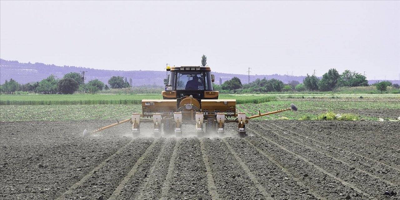 2023 Mayıs ayı tarımsal destek ödemeleri hesaplarda!