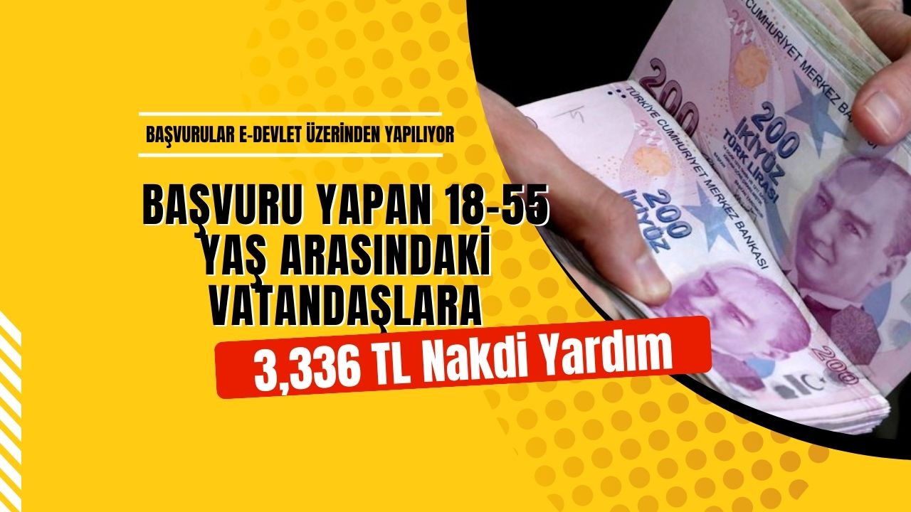 E-devlet üzerinden başvuru yapanların PTT hesaplarına 3.336 TL para yatırılacak!