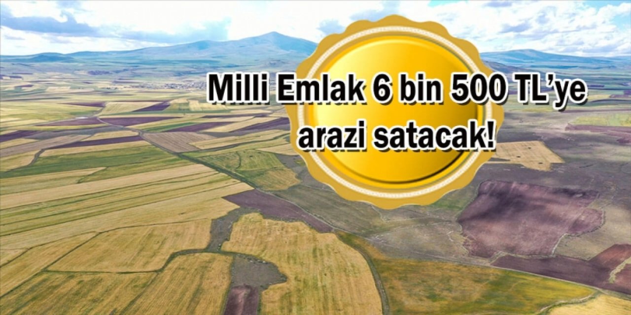 ŞOK FİYAT! Motosikletten UCUZ 6 BİN 500 TL'ye ARAZİ satılıyor: Asgari ücretten bile ucuz herkes başvurabilir...