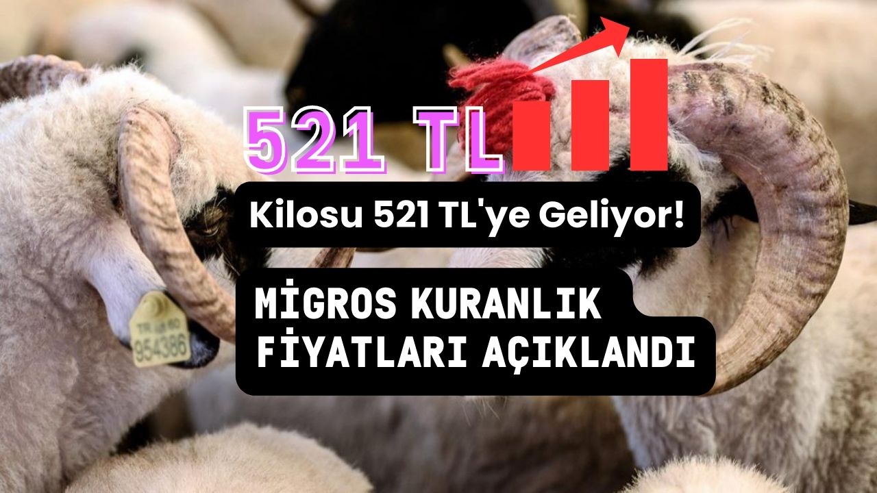 Migros kurbanlık fiyatları açıklandı! Kilosu 521 TL’ye geliyor