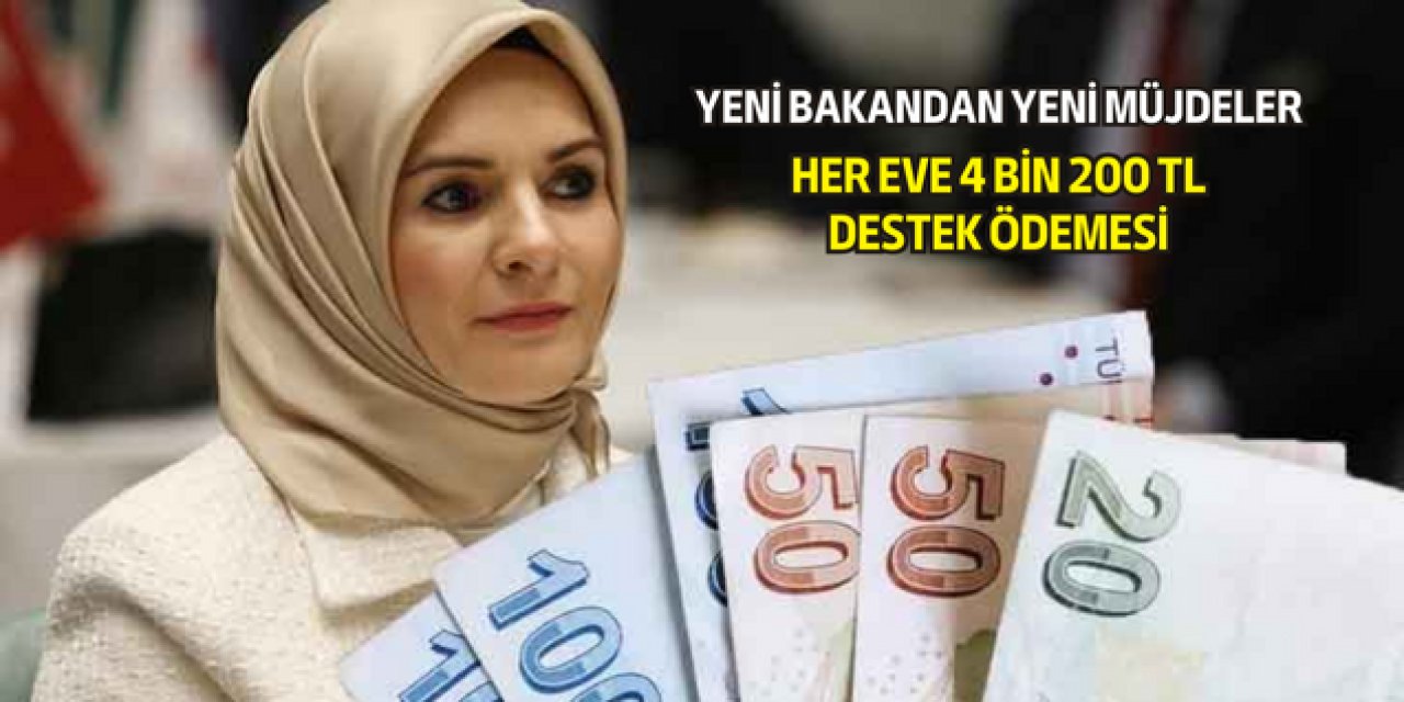 Bakanlık sözünü tuttu: Her haneye 4200 TL ödeme bugün başlıyor! herkes başvurabilir