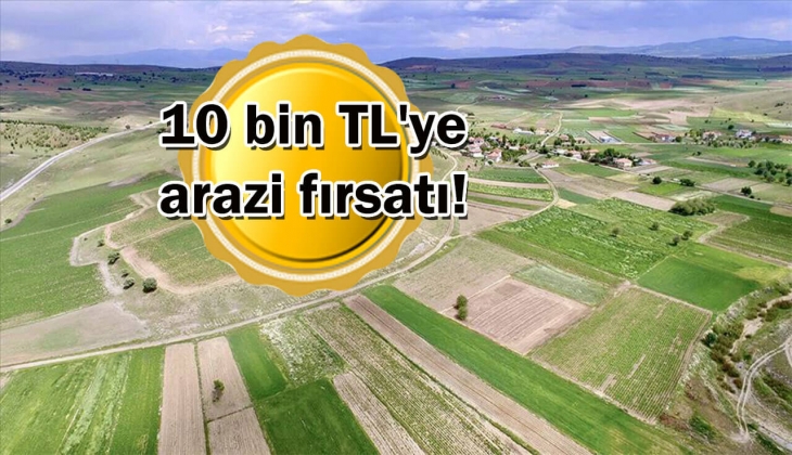 Bir Cumhuriyet altını verip bu arsayı satın alabilirsiniz! 10 Bin TL'ye 195 metrekarelik arsa satışa çıkarıldı