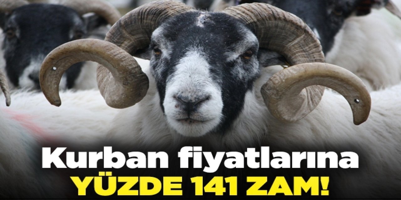 Et fiyatlarında şok rakam! Bu Kurban Bayramı zor geçecek kilogramı 227  TL'ye yükseldi
