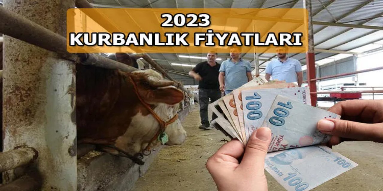 Kurbanlıklar geldi satış başladı: İzmir'de 12 Bin TL ile 105 Bin TL, Ankara'da 8 Bin TL ile 155 Bin TL, İstanbul'da 7 ile 80 Bin