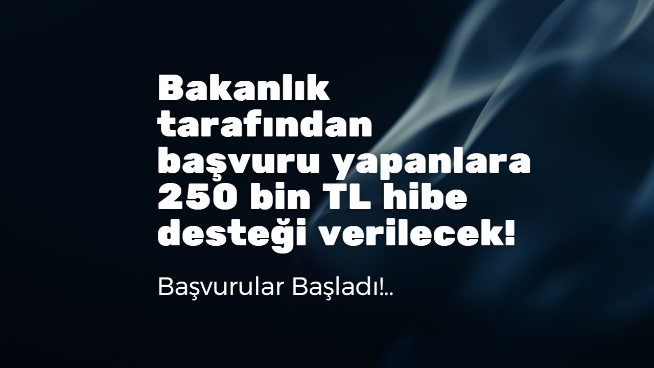 Bakanlık tarafından başvuru yapanlara 250 bin TL hibe desteği verilecek!