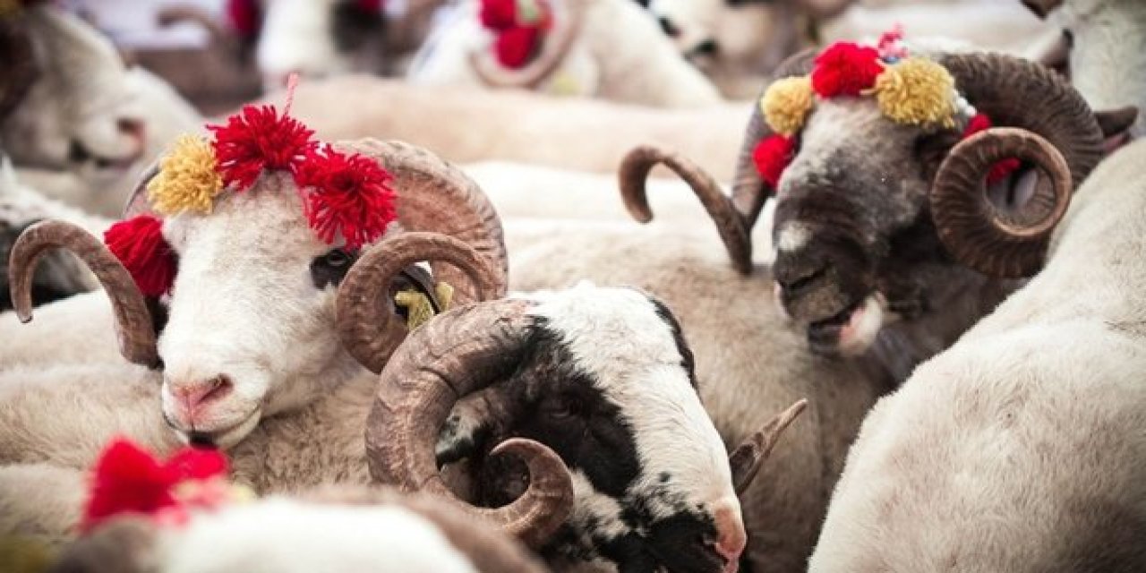 Kurban Bayramında bunu yapana 293 bin 188 TL PARA CEZASI kesilecek! Sakın bunu yapmayın...