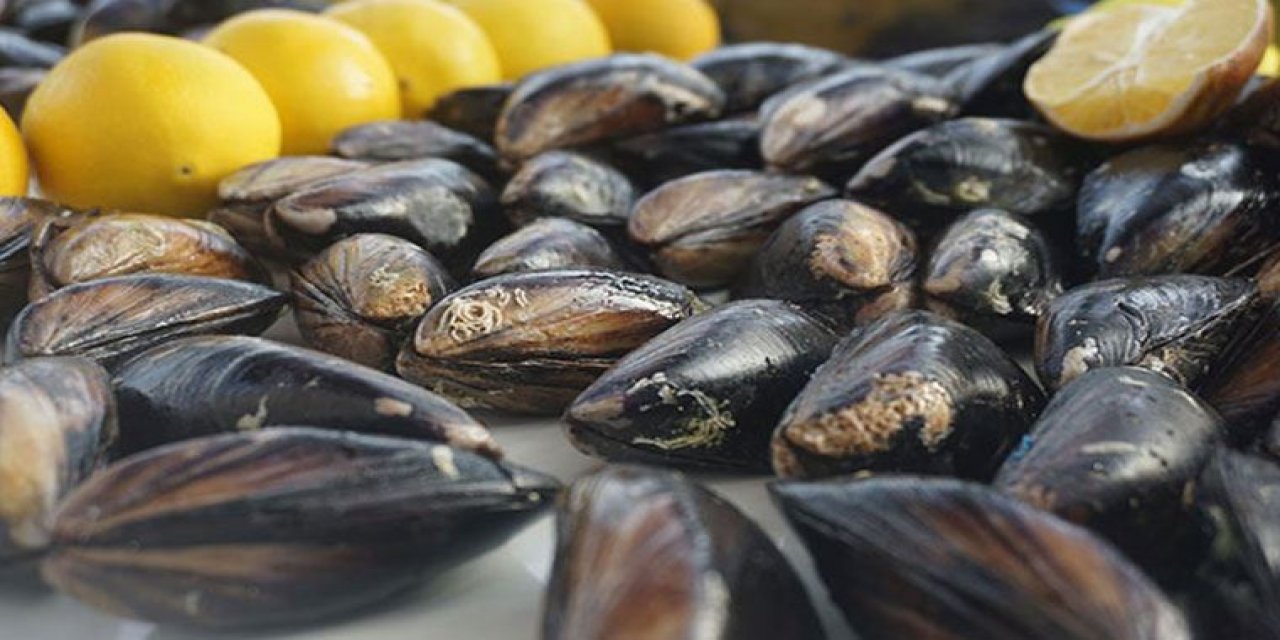 Marmara Denizi’nde denetimler devam ediyor. Kıllı midye avcılığına denetimler oldukça yoğun!