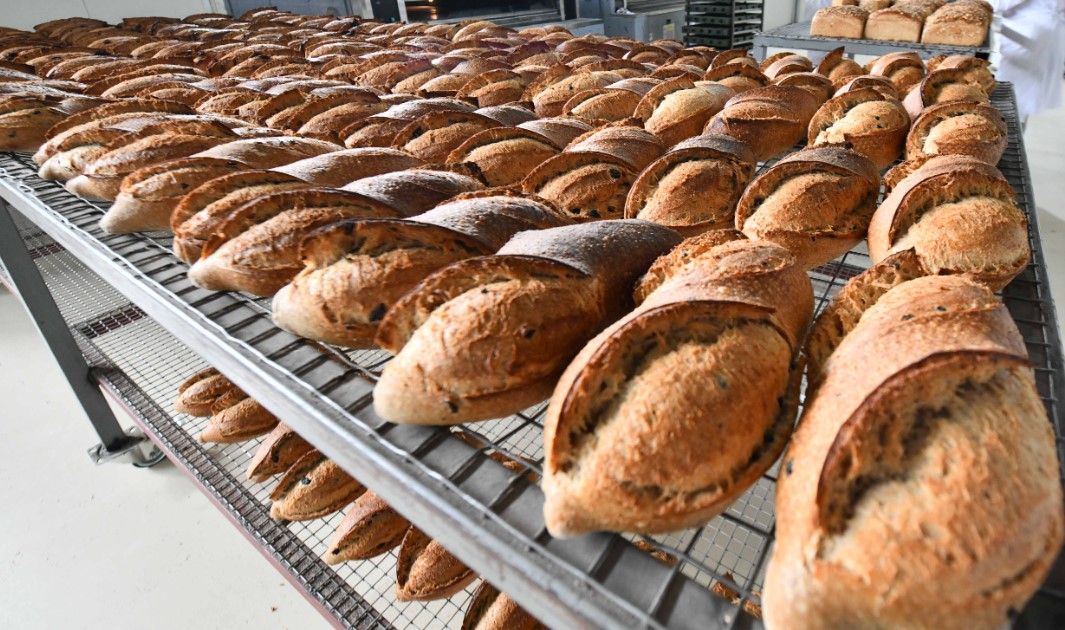 Ankara’da ekmek satın alan vatandaşlar: Belediye duyuruda bulundu!