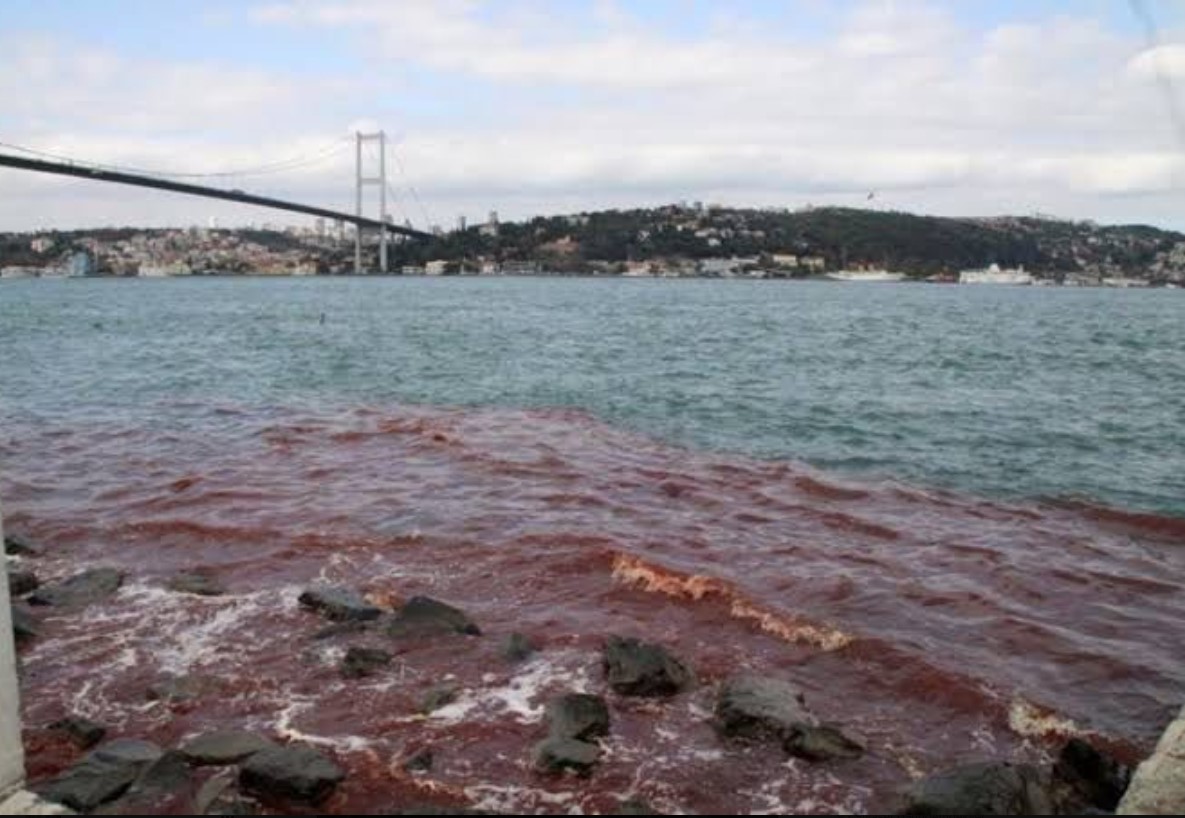 Her Kurban Bayramı’nda yaşanıyordu: Bu bayram yaşanmadı!