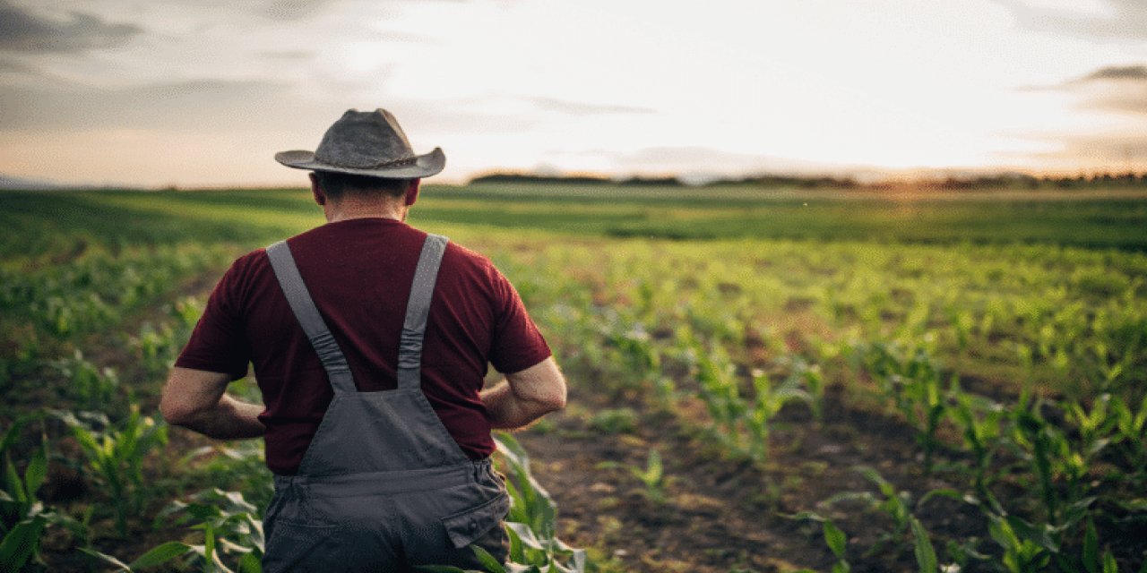 Çiftçilere müjde! 8 Temmuz itibari ile destek ödemeleri hesaplara yatıyor!