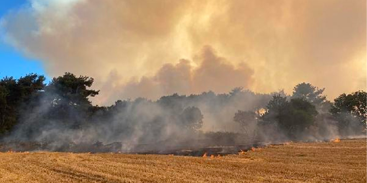 52 saatte kontrol altına alınan yangının sebebi beldi oldu! İHA’lar açıkladı!