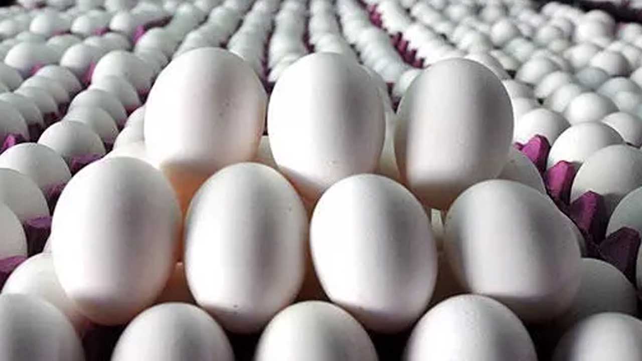 Bakanlıktan YUMURTA açıklaması:  Kullanımı yasak!