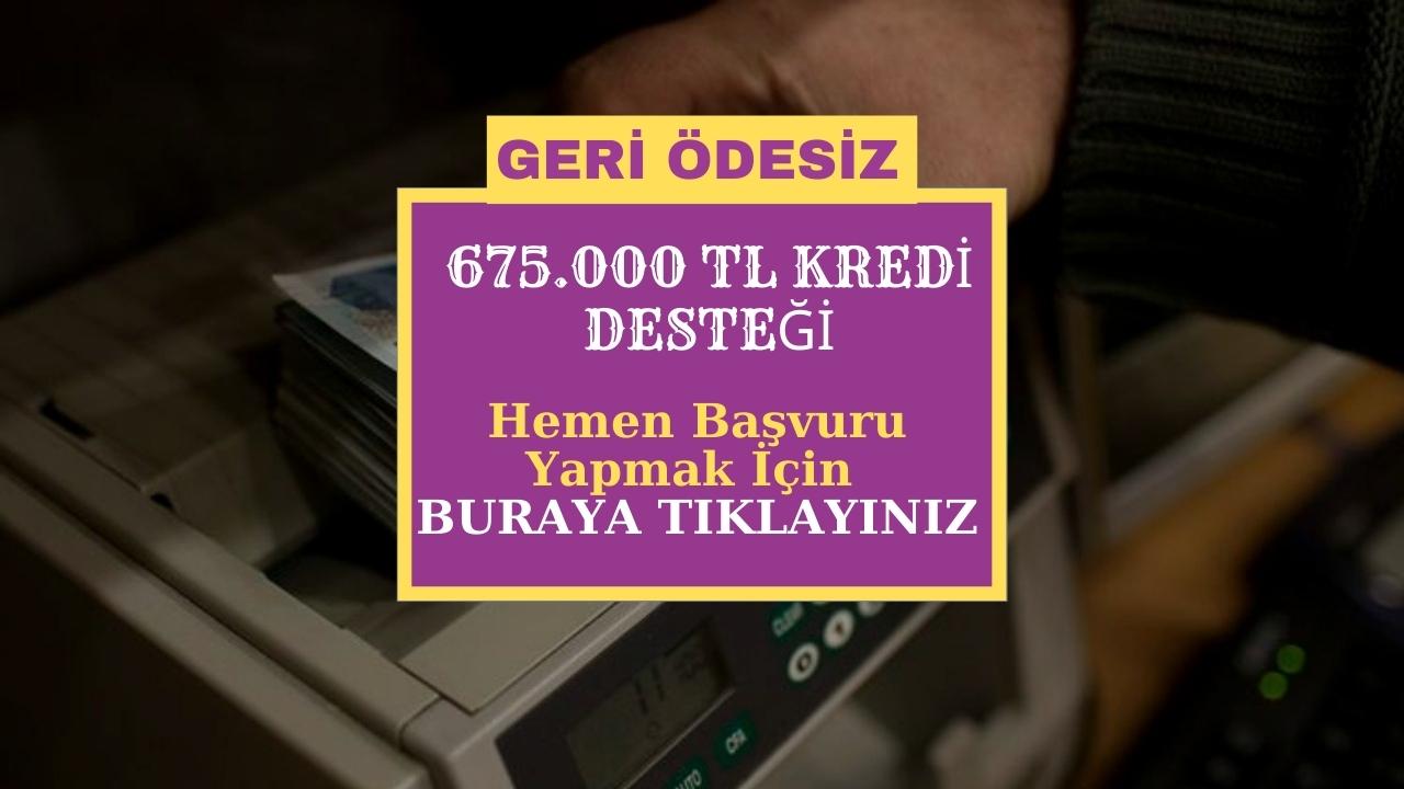 Geri ödemesiz 675 bin TL kredi desteği için başvurular başladı! Başvuru şartları, başvuru adresi ve tüm detaylar