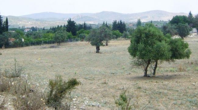 54 bin TL'ye 597,50 m² lik konut imarlı ARSA SATIŞI başladı! 1 Ağustos saat 09:15 için bilgilendirme yapıldı