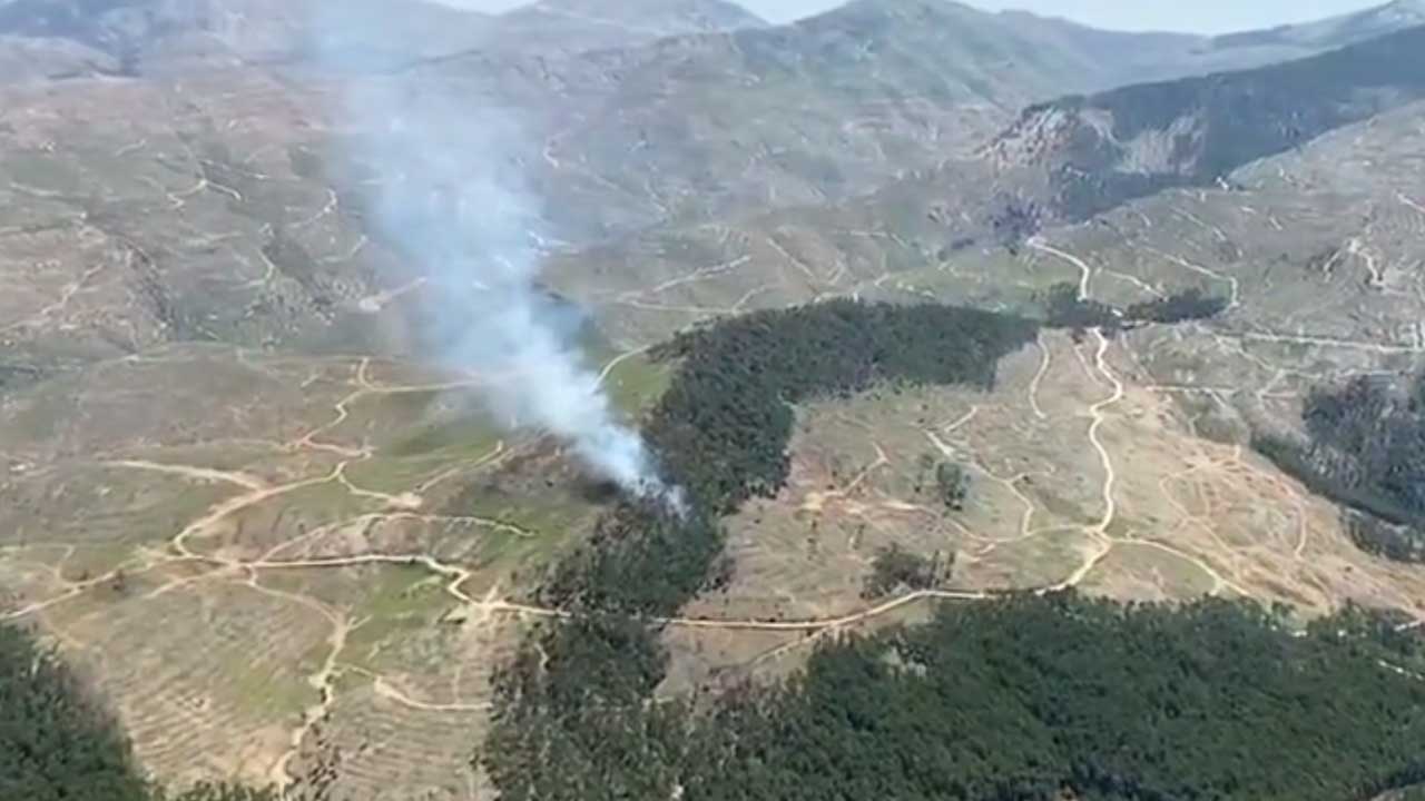 Alevler ile mücadele! Muğla'da yangın çıktı: Hem Valilik hem de Orman Genel Müdürlüğü açıklama yaptı!
