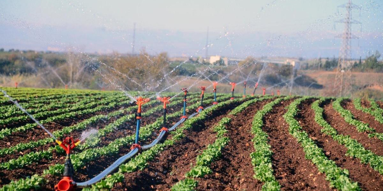 Tarım ve Orman Bakanlığı projesi netlik kazandı! Hibe almaya hak kazanan çiftçiler…