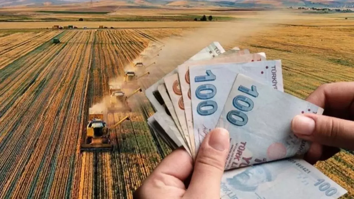 Çiftçiye 237 milyon 819 bin TL destek ödemeleri hesaplara yatırıldı! Bakan açıkladı: Hemen kontrol edin