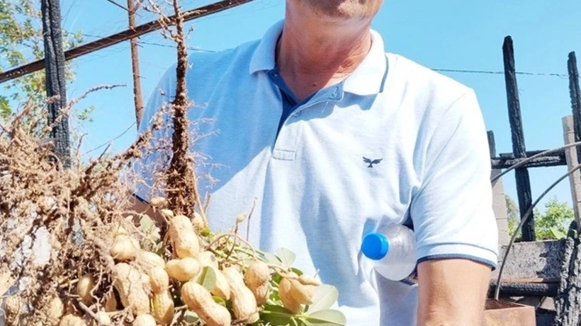 Bu işi yapan zengin olur! 1 kilosu 250 TL'ye satılıyor: 5 kg satışı 1 Gram altın fiyatıyla yarışıyor