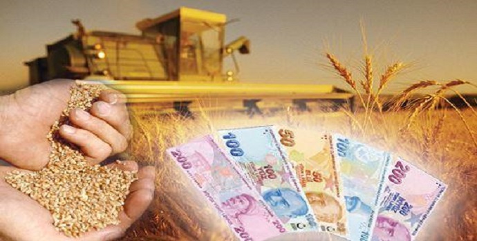 Çiftçilere ödeme yattı! Tam 19 milyon kişiye Bakanlık'tan müjde