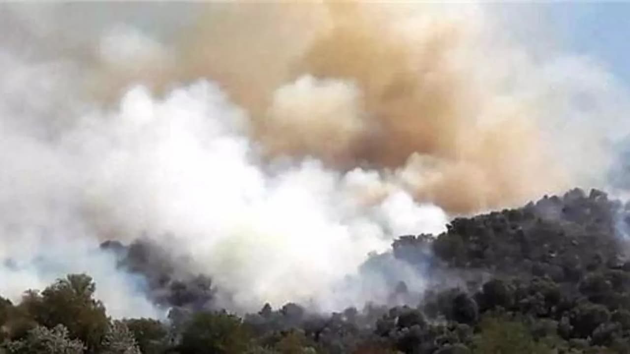 Yenipazar’da Orman Yangını Kontrol Altına Alınmaya Çalışılıyor