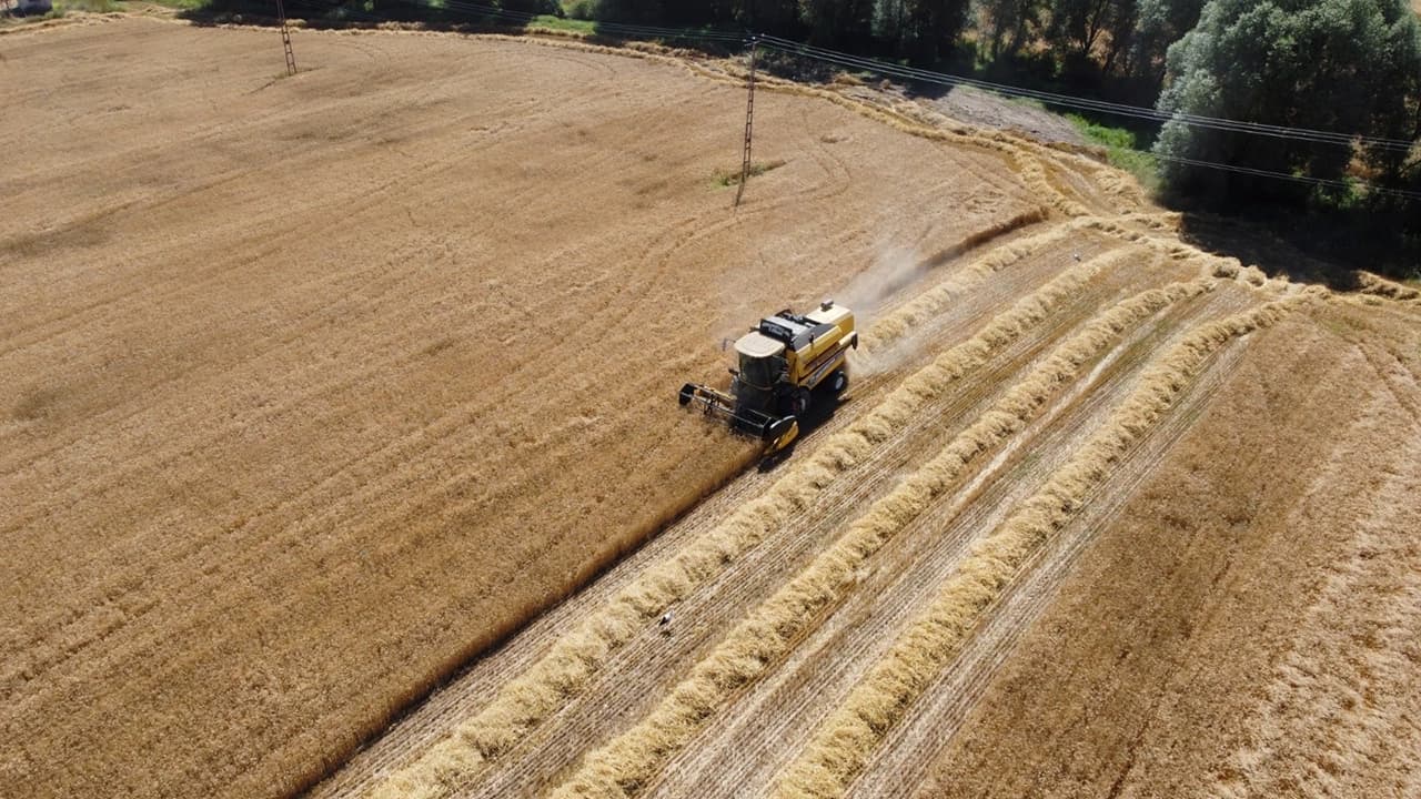 İhtiyaç sahiplerine un yardımı yapılacak! Toplam 15 ton dağıtılacak!