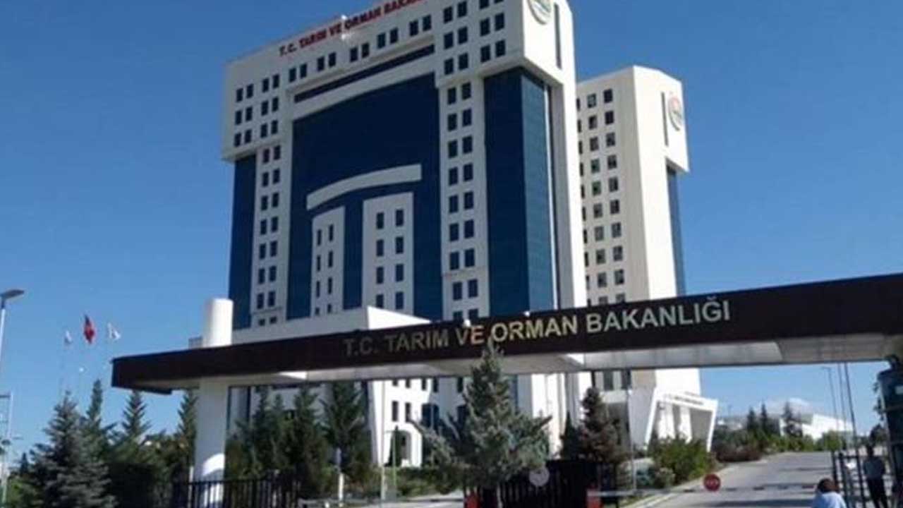 45 Yaş altında olanlar başvurabilir: Tarım ve Orman Bakanlığı resepsiyon görevlisi alımı yapacak!