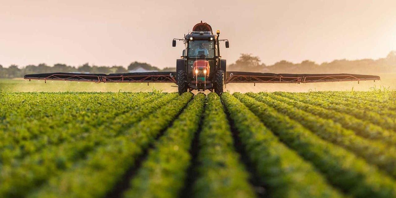 Türk Bilim insanlarından yerli ve milli tarımı kurtaracak müthiş keşif! Mikrobiyal gübre ile kimyasal gübreye alternatif bulundu