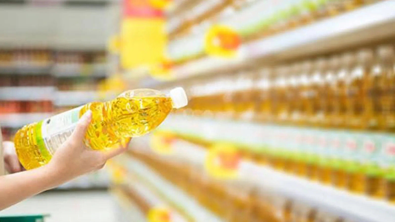 Komili Zeytinyağı 182,90 TL'ye kadar DÜŞTÜ! SON GÜN YARIN Komili Ayçiçek yağı da indirime girdi! Hemen markete gidin