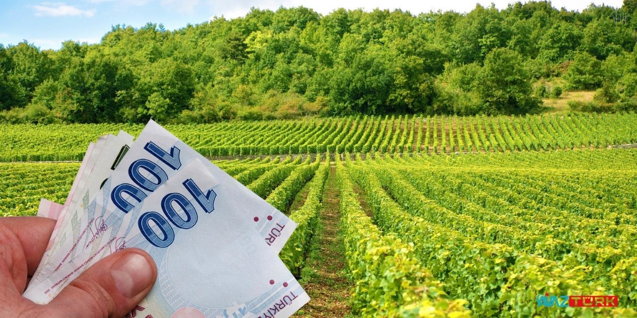 Ağustos ayının son destek ödemesi de yattı! Bakanlık açıklamalarında detayları belirtti!