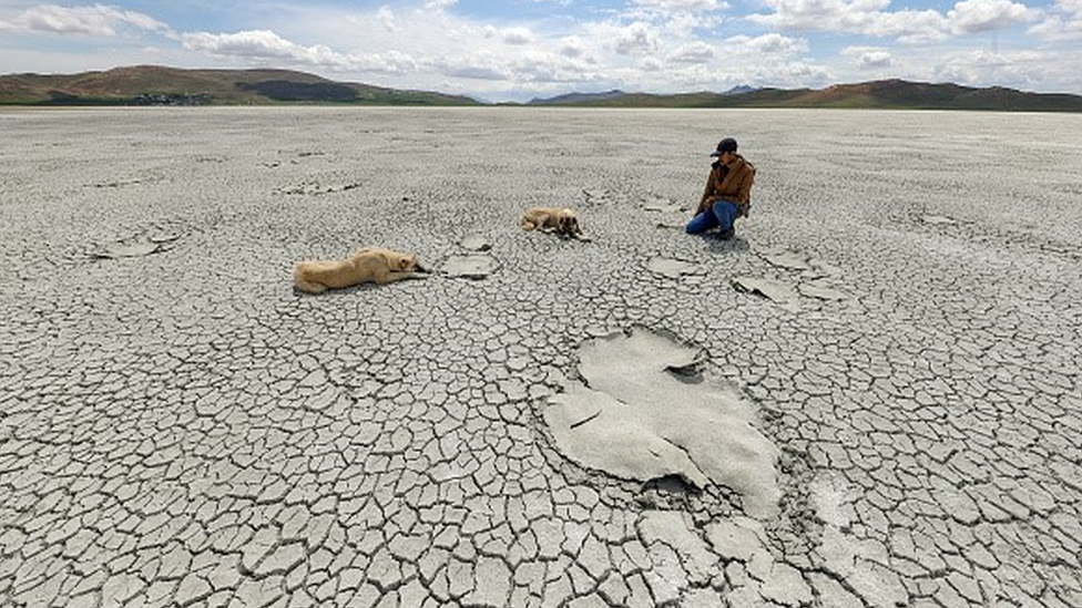 Kuraklık, Su Krizi ve buna bağlı SALGIN hastalıklarla mücadele için yeni yöntem! 15 milyonluk nüfusta sulama yasaklandı
