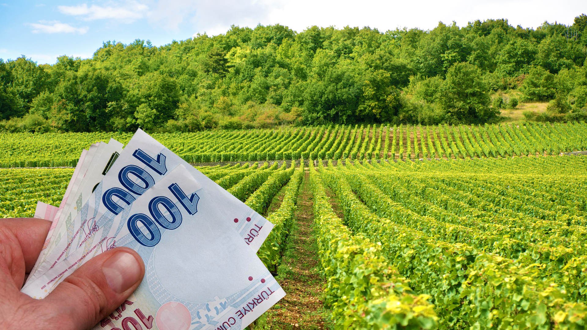 Tarım Bakanlığı, çiftçilere tam destek vermeye devam ediyor! Bu destek ile…