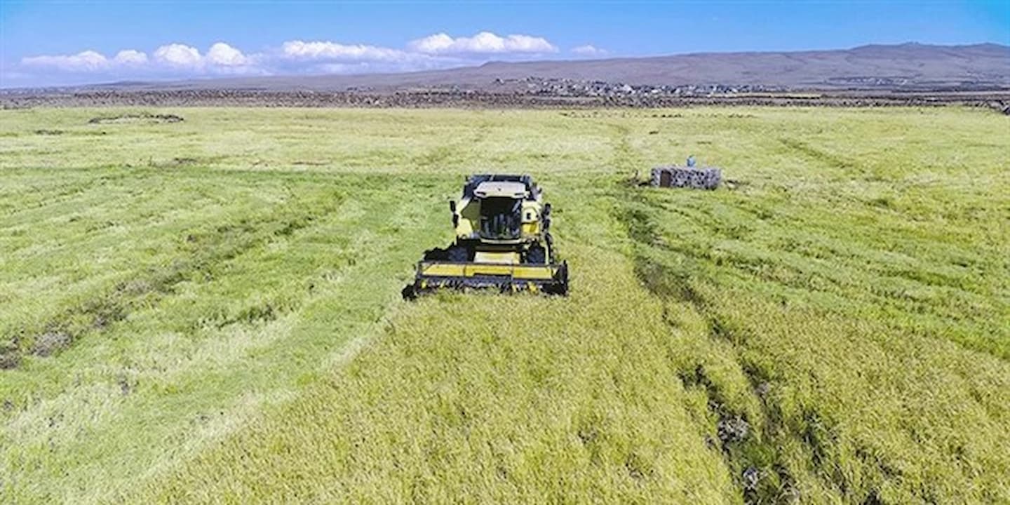 Çiftçi Kayıt Sistemi (ÇKS) başvuruları yarın başlıyor