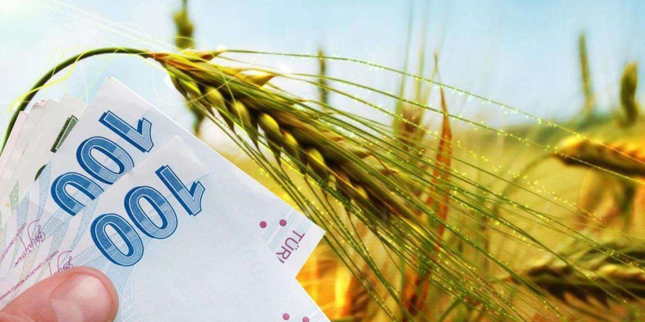 Tarım ve Orman Bakanlığı, çiftçilere tarımsal destek ödemeleri ve damızlık düve yetiştirme merkezlerine hibe desteği sağlıyor!