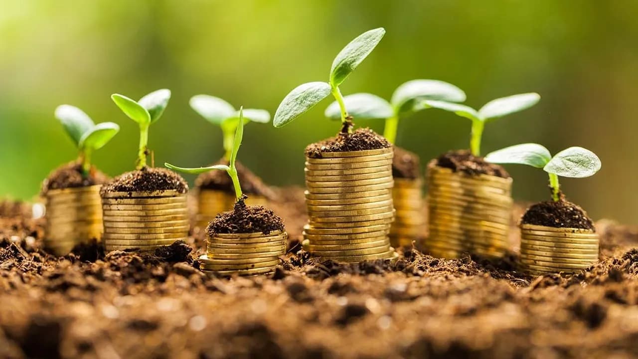 OVP’nin Piyasalara Etkisi: Sıkı Para Politikası ve Yeşil Dönüşüm