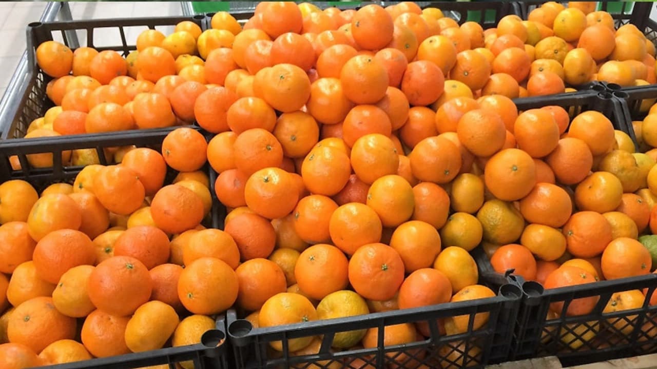 Kış Mevsiminin Yaklaşmasıyla Pazar Tezgahları Renk Değiştiriyor: Limon ve Mandalinanın Fiyatı Cebi Yakıyor!
