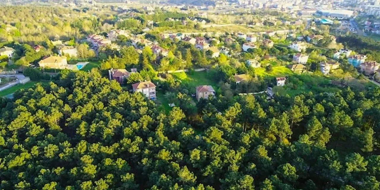 Çekmeköy'ün Yeşil Cenneti: Ekolojik Alanlardan Konut İmarına Geçiş