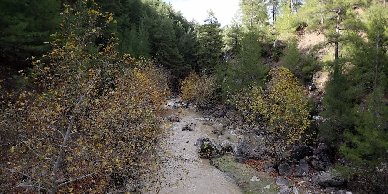 Dalaman Çayı'nın Akıbeti: HES Projesi ve 49 Yıllık Kiralama Kararı Üzerine Derinlemesine Bir Bakış