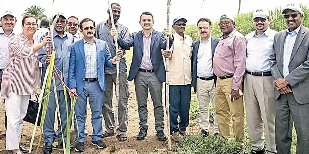 Sudan'daki Tarım Hayali: Türk Hükümetinin Milyonluk Yatırımı Nasıl Heba Oldu?